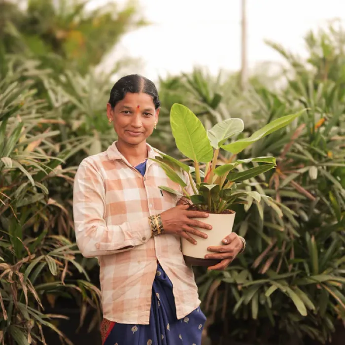 Indoor Roots customer at home with their delivered plants