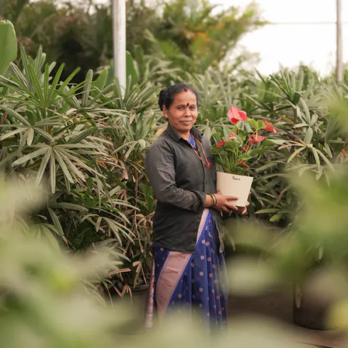 Indoor Roots customer at home with their delivered plants
