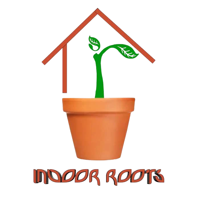 Indoor Roots