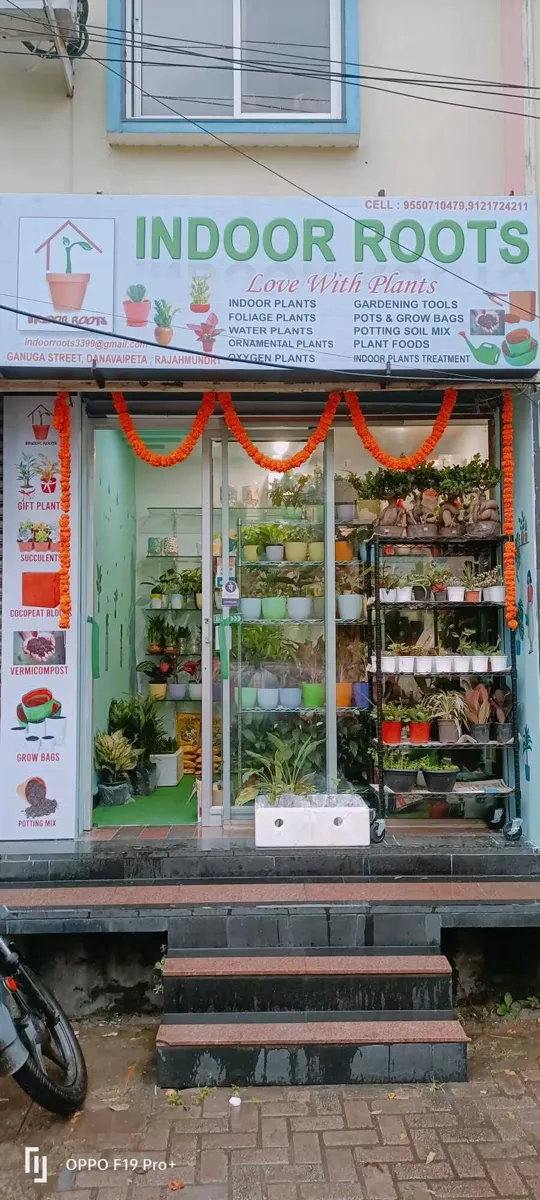 Our store