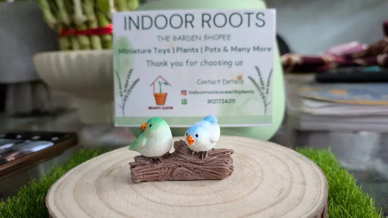 Birds Sitting on Log