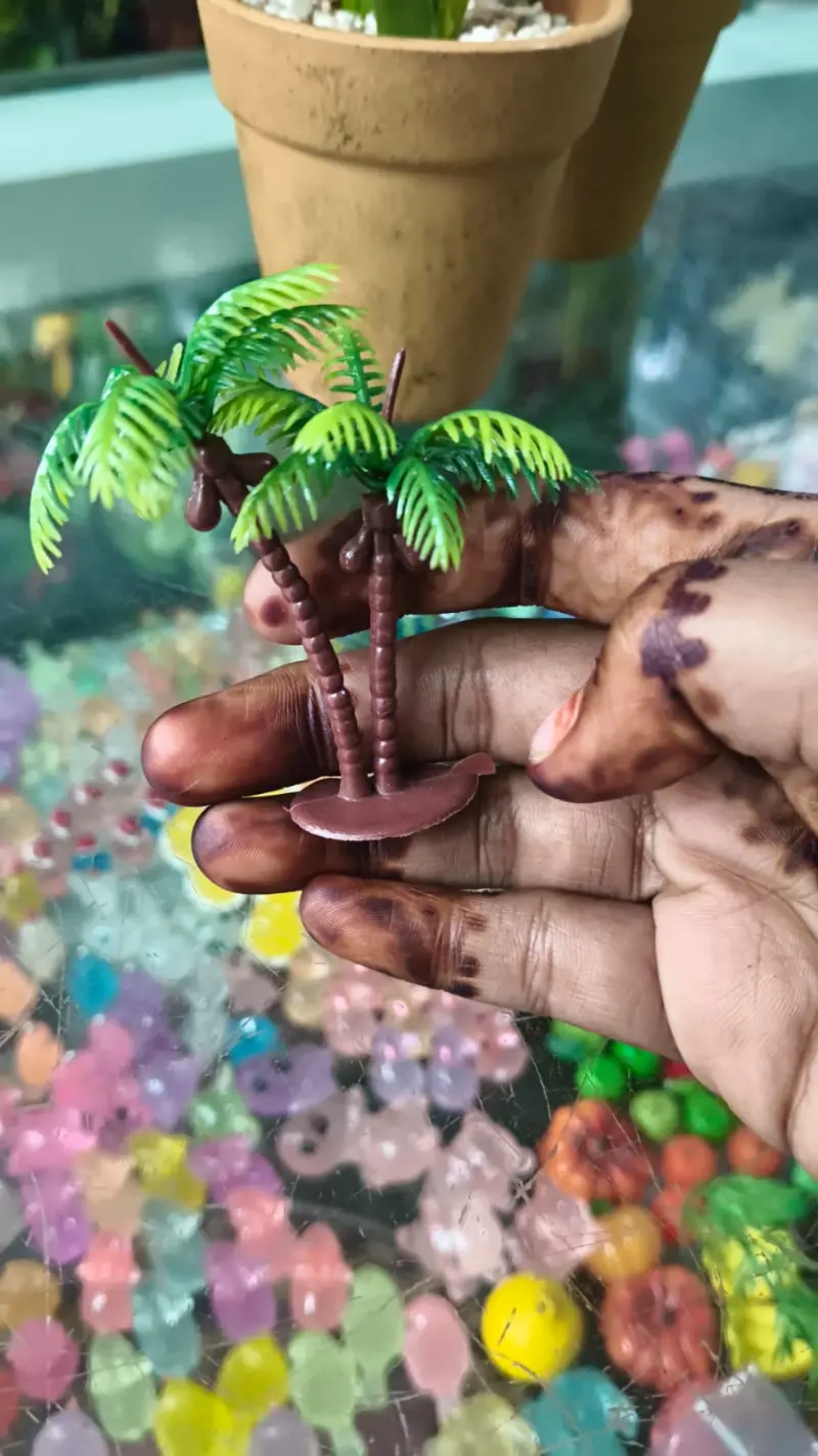 Coconut Tree 2 each