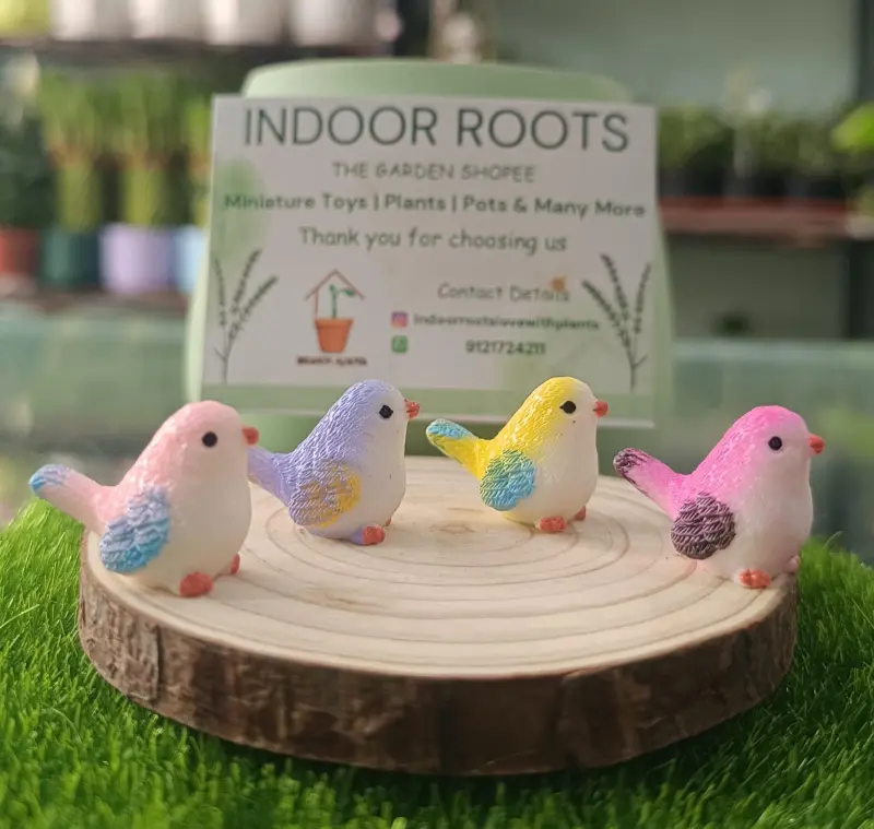 Colour Birds each