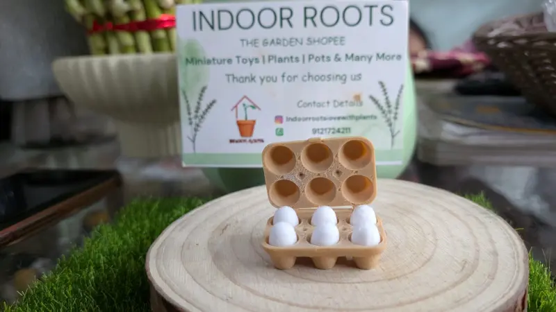 Eggs Box