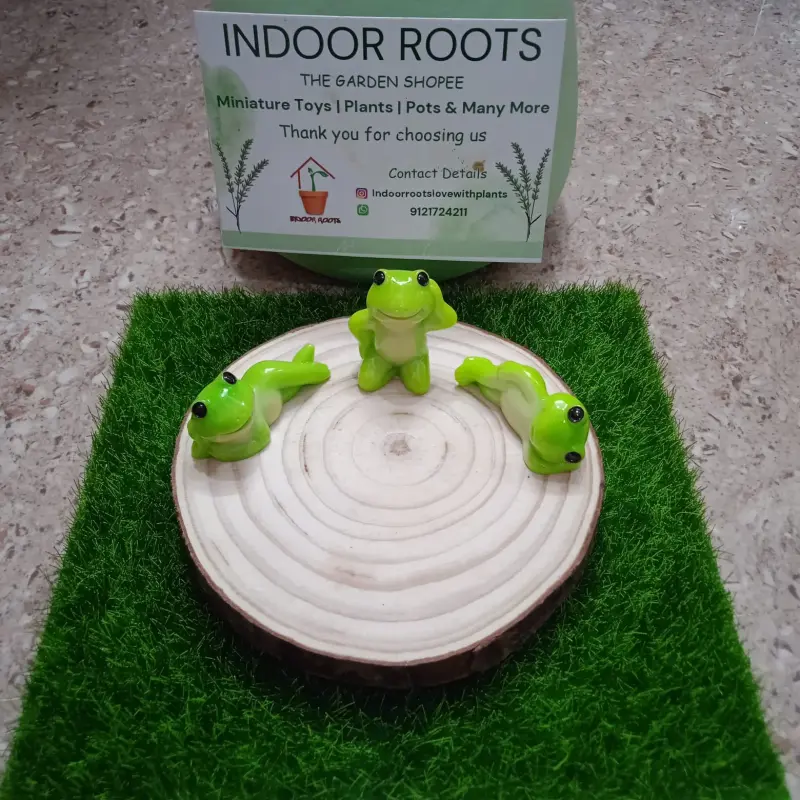 Frog set of 3