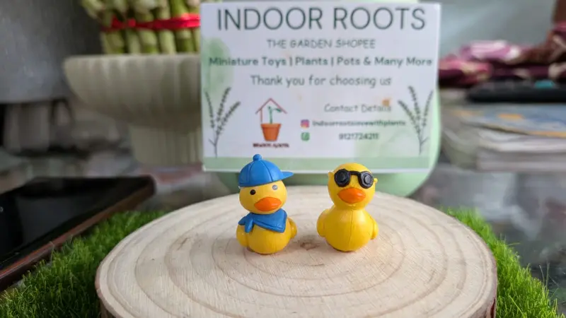 Funny Ducks pair