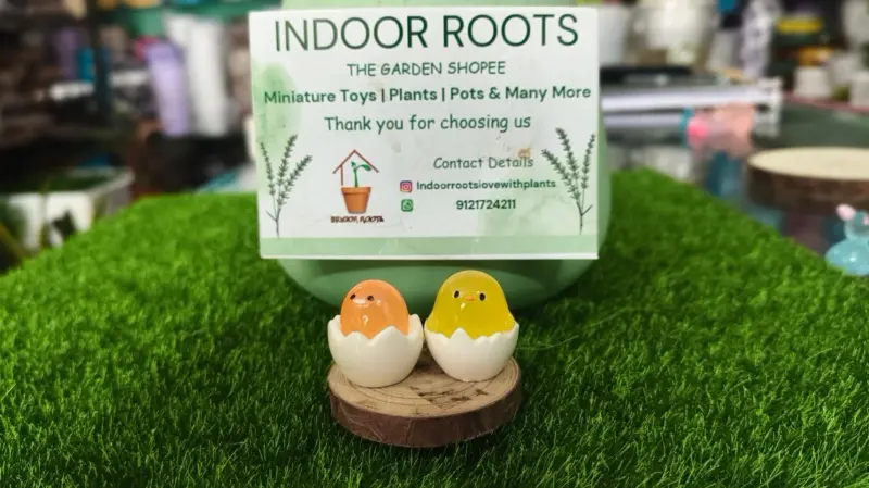 Glow Chick in Eggs