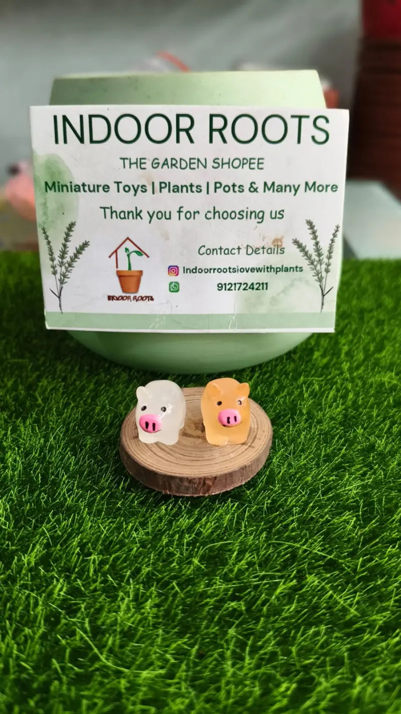 Glow Pigs each