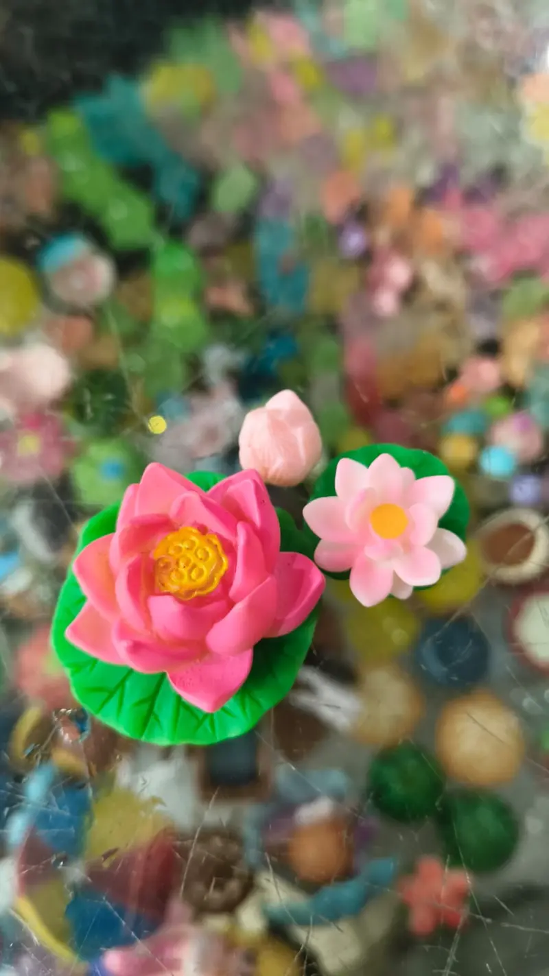 Lotus set of 5