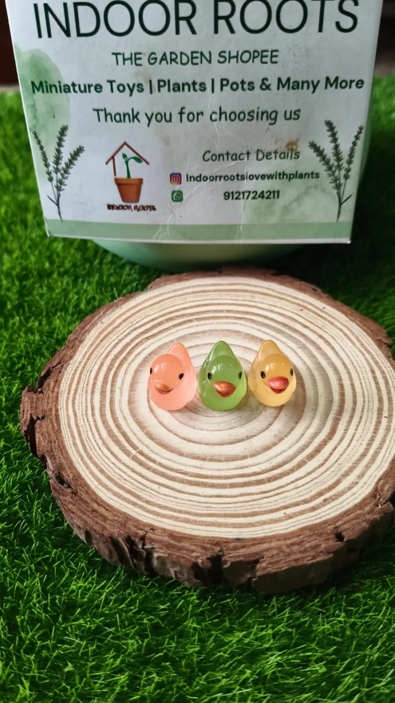 Luminous Duck