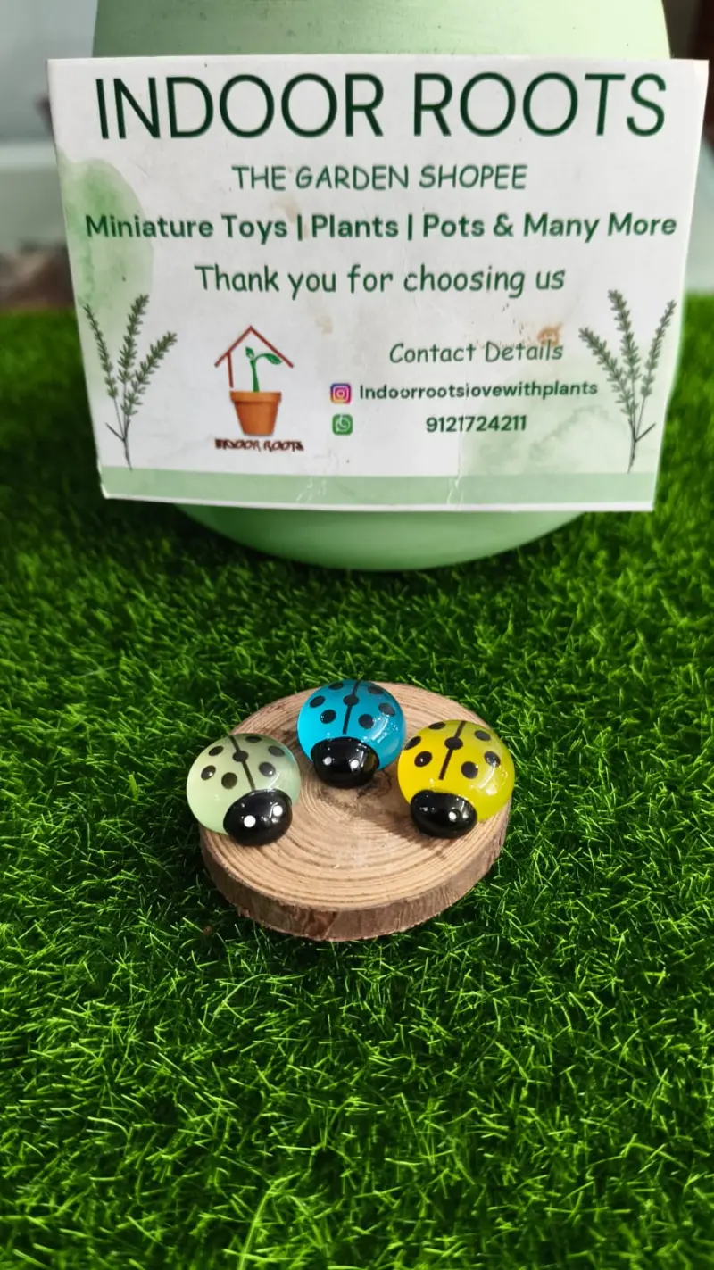 Luminous Lady Bug