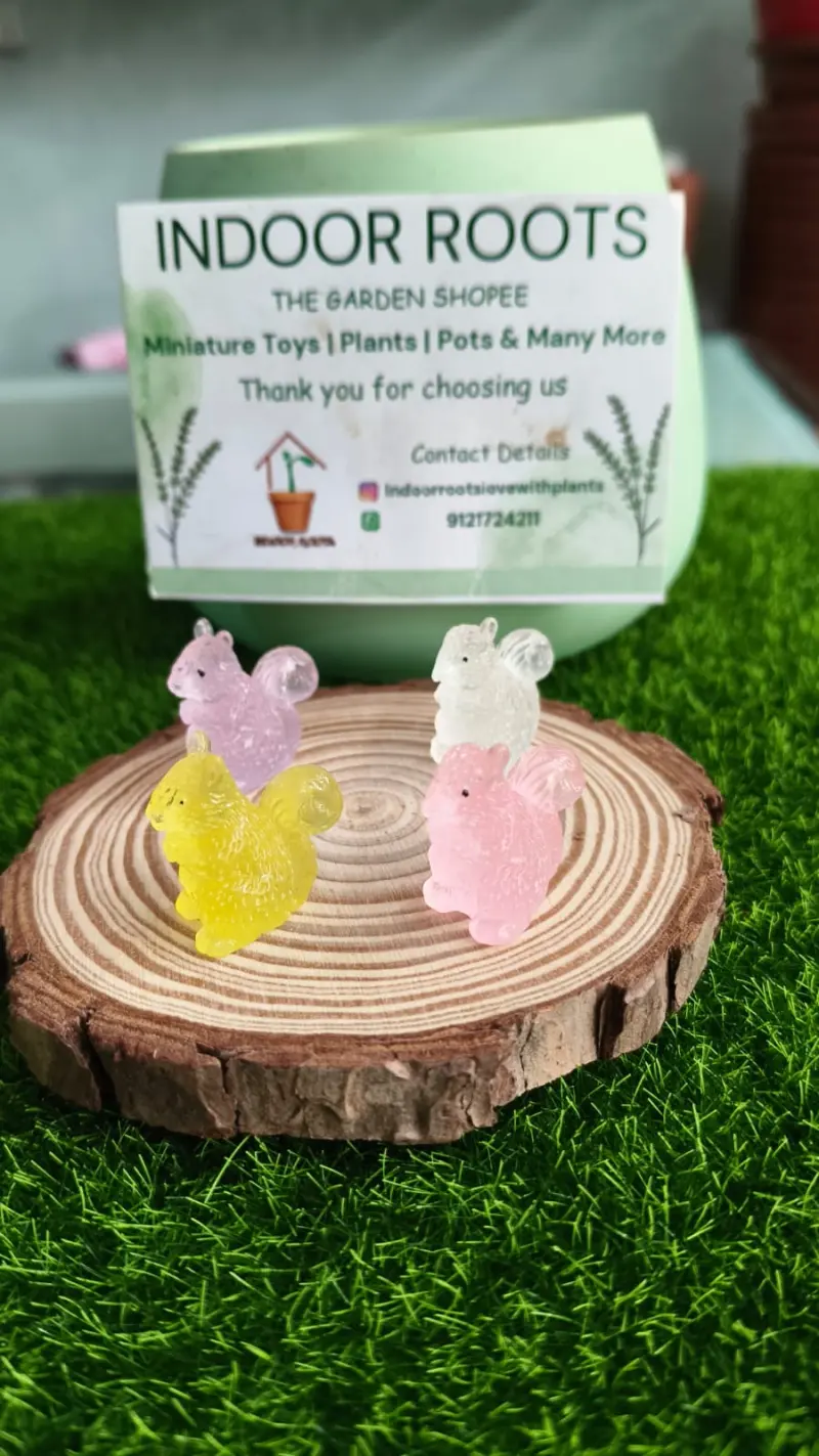 Luminous Squirrels