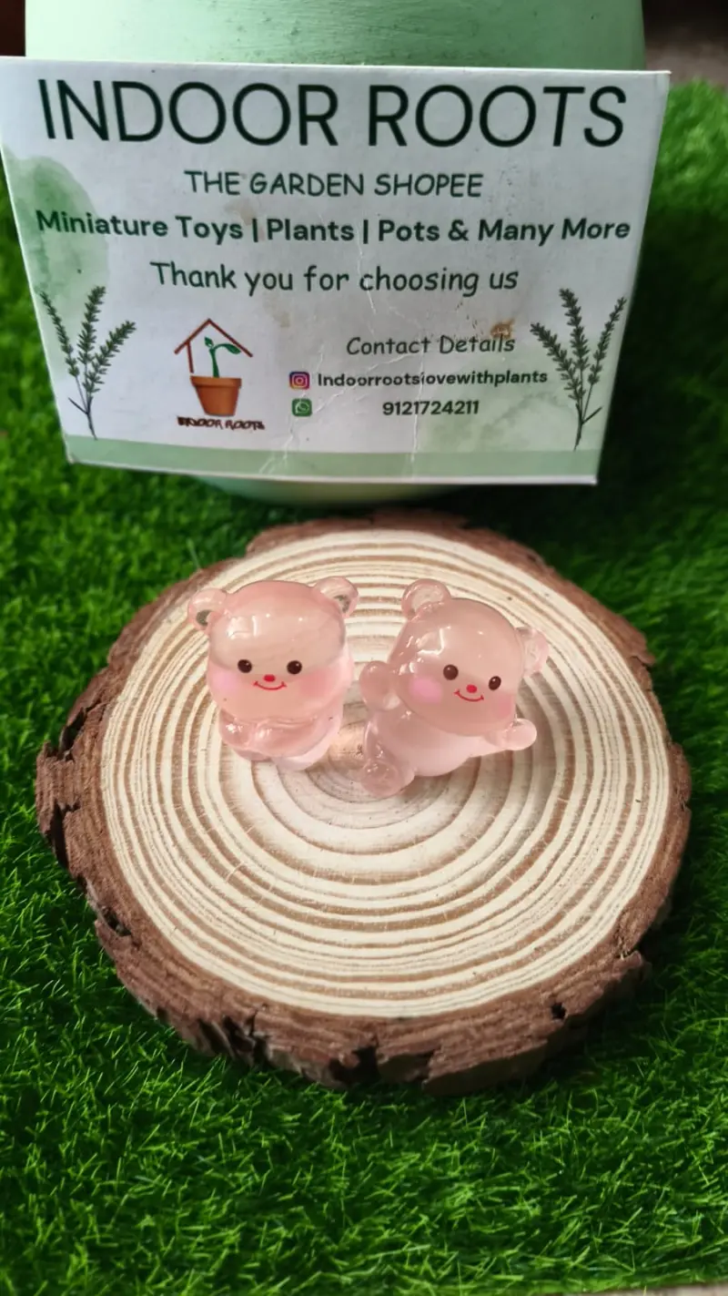 Luminous Teddy