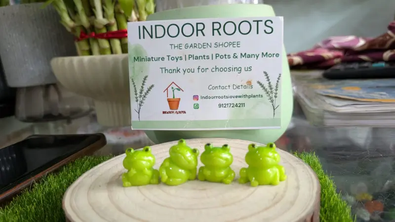 Mini Frog set of 2