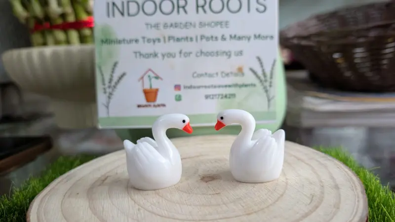 Mini Swans each
