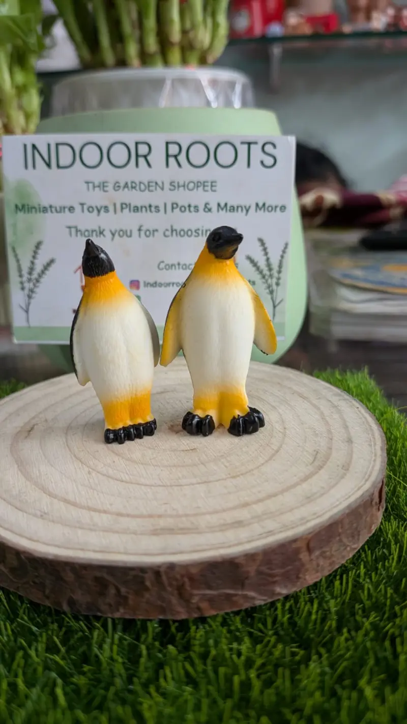 Penguine pair