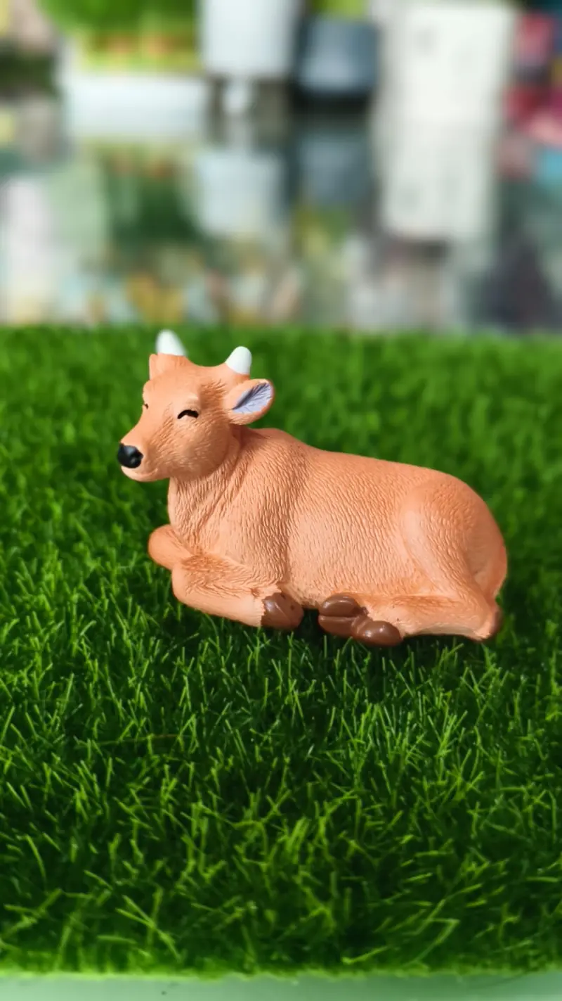 Sitting Cow