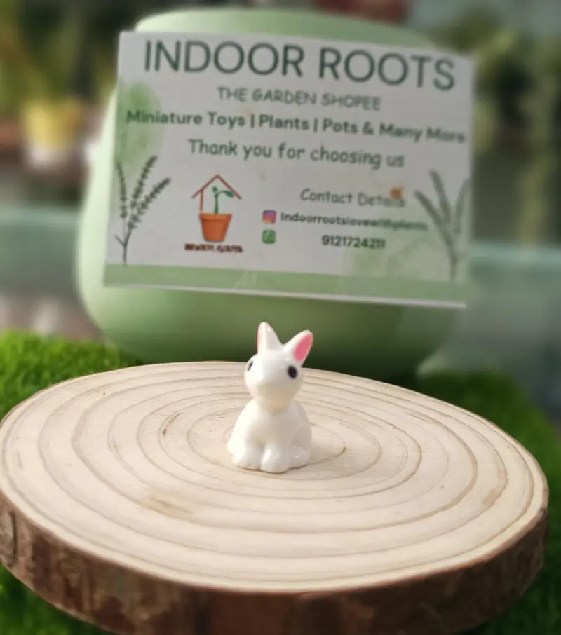 Small Rabbit