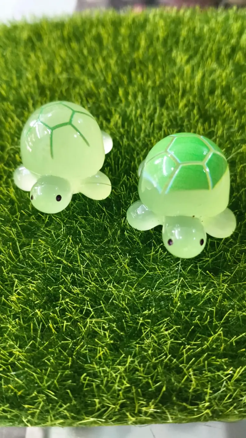 Turtle new